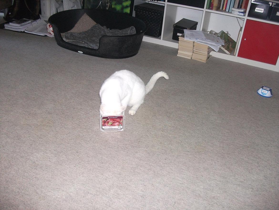 Huskat Snehvide billede 20