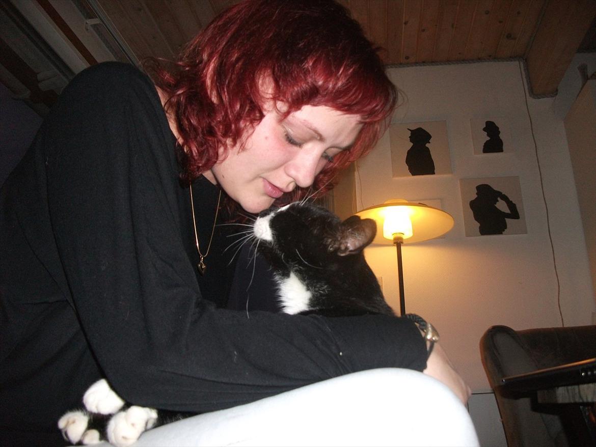 Huskat Sylvester *Sylle* RIP billede 18