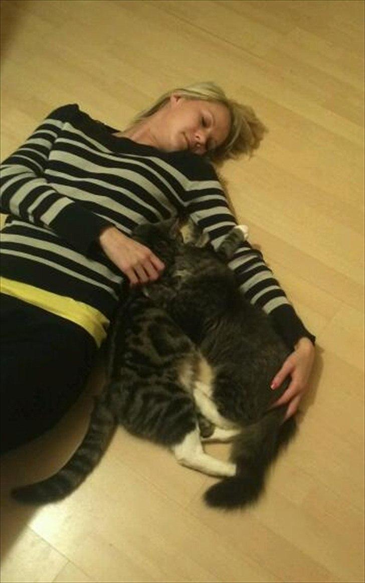 Blanding af racer Leonora billede 5