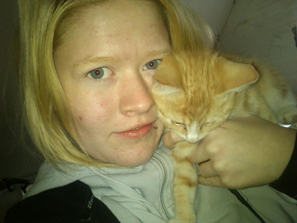 Huskat Liva  billede 9