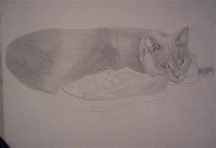 Blanding af racer Børge *HIMMELMIS* - Min veninde Randi tegnede ham efter han var død.... billede 13