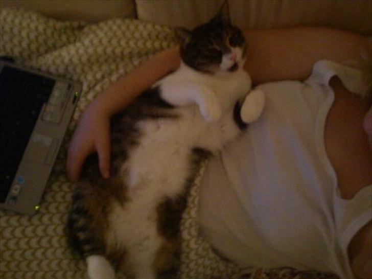 Huskat Snøvs - Puttetrold billede 9