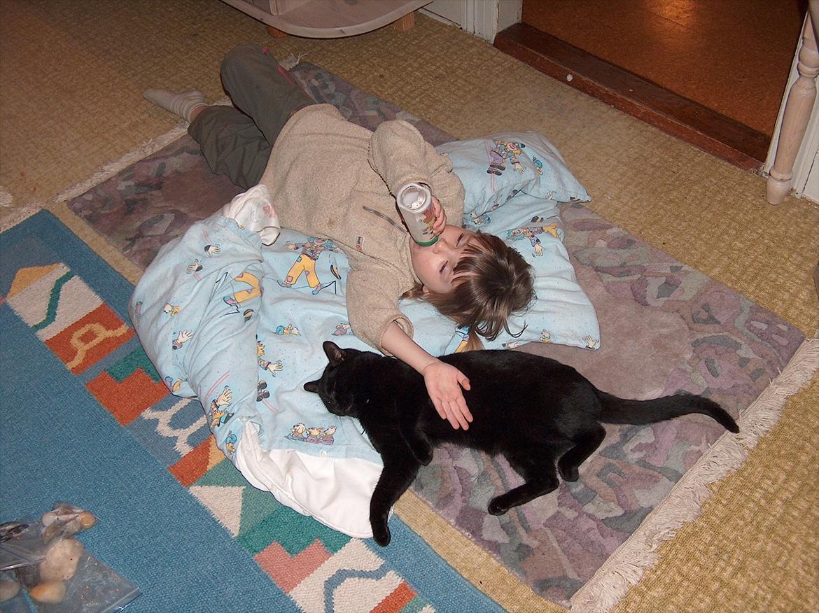 Huskat Felix (savnet siden 2009 :'(  ) - Han var virklig en utrolig sød kat! Han var sød i alle situationer lige meget hvor meget man irreterede ham! :(<3 billede 15