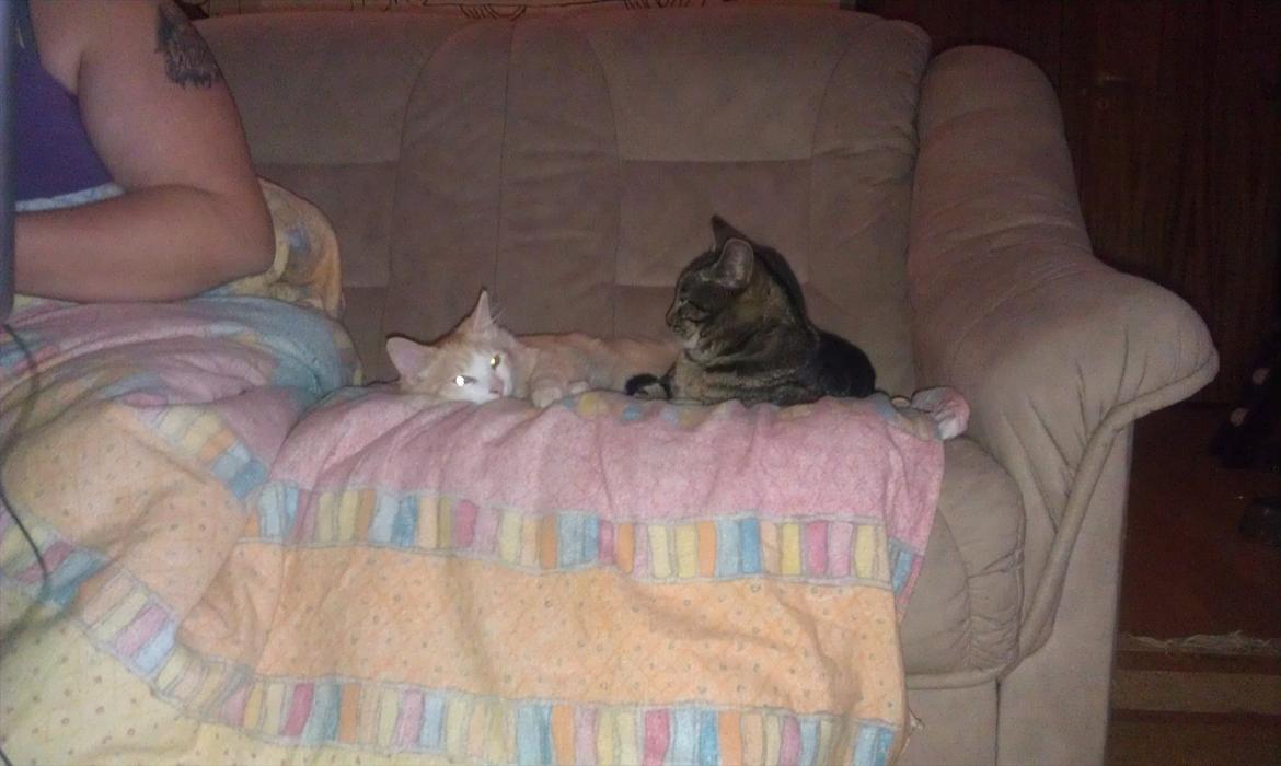 Huskat Pjuske billede 4