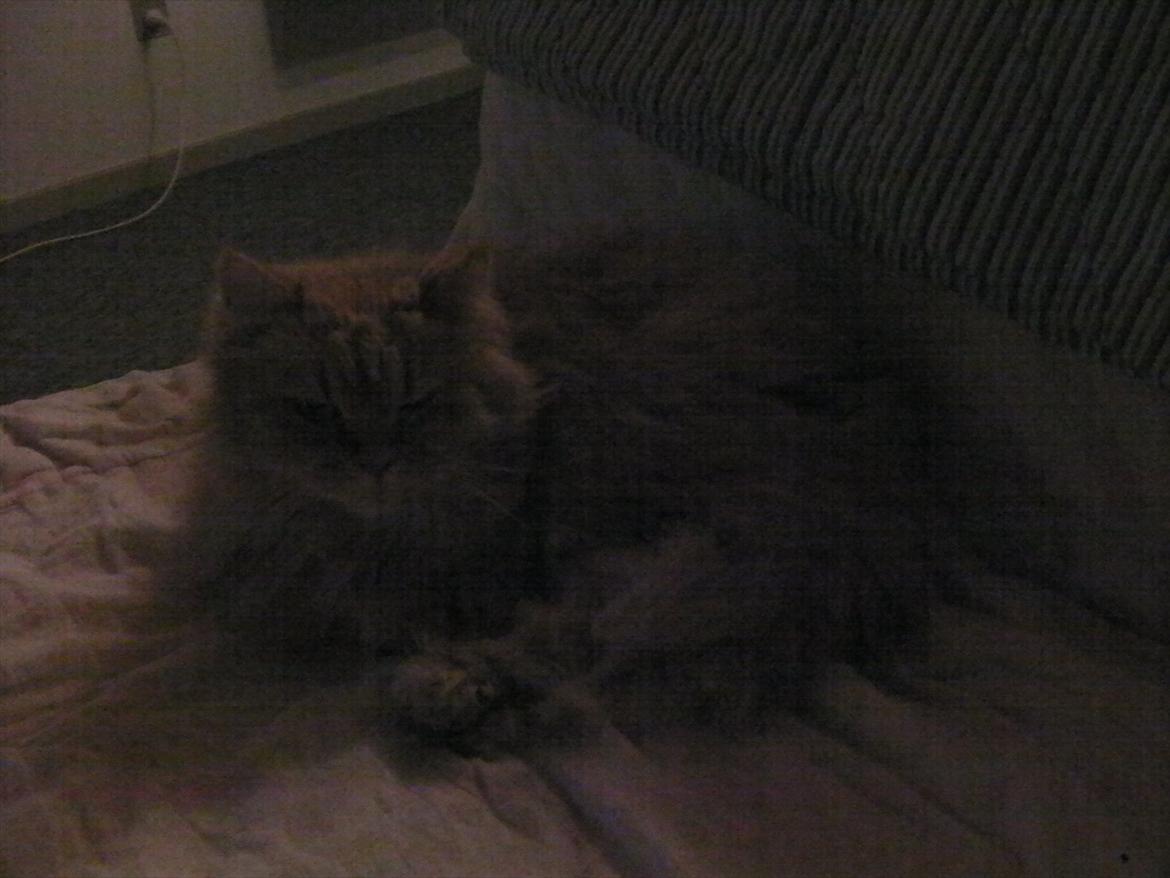 Huskat Missen Du  Elsket!!:-* billede 2