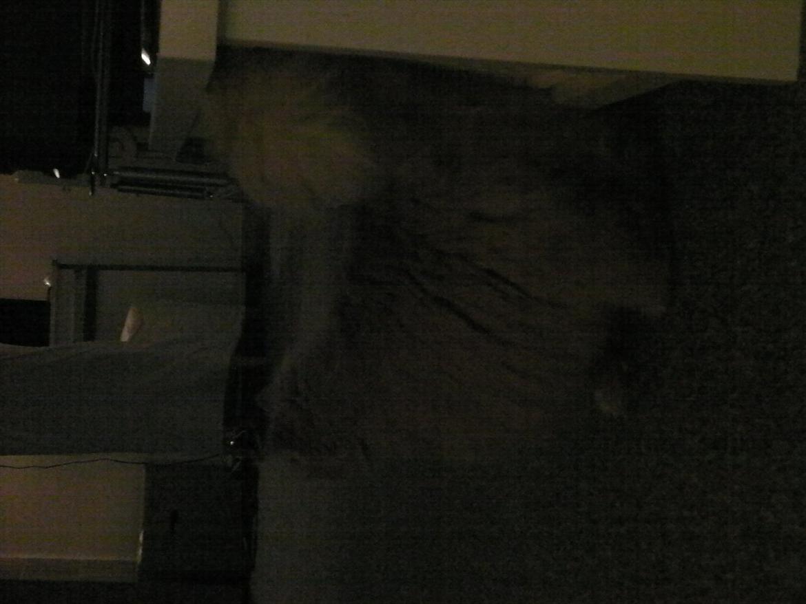 Huskat Missen Du  Elsket!!:-* billede 5