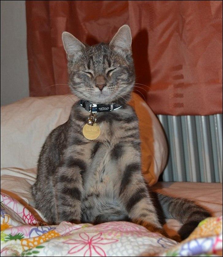 Huskat Sölvi Hittemis billede 19