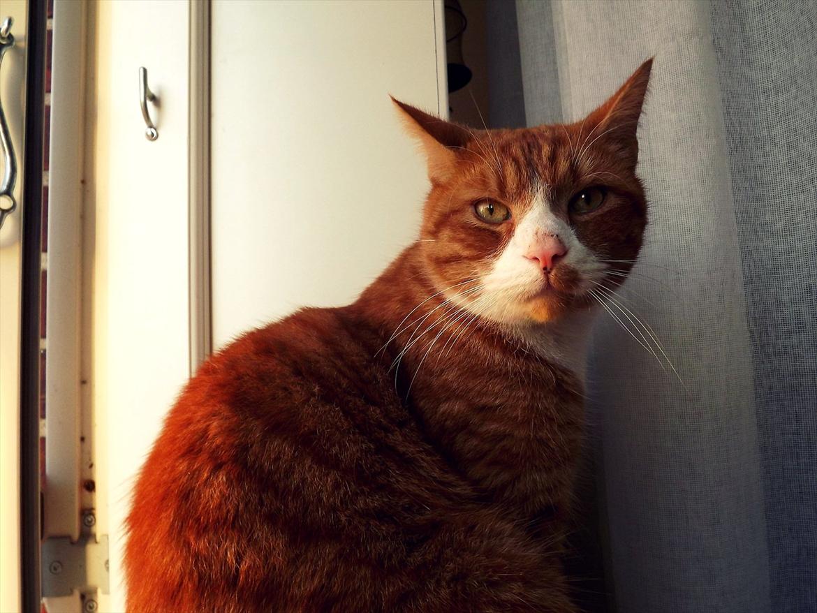 Huskat Frønse :D - Nanna, hva' laver du? billede 3