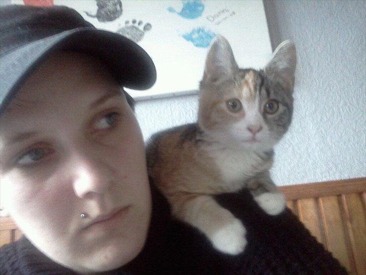 Blanding af racer CocoBine billede 5