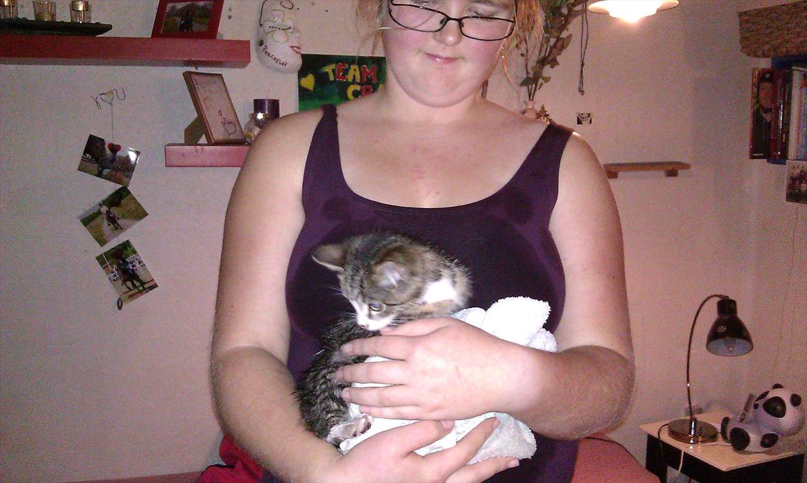 Huskat Kvist billede 12