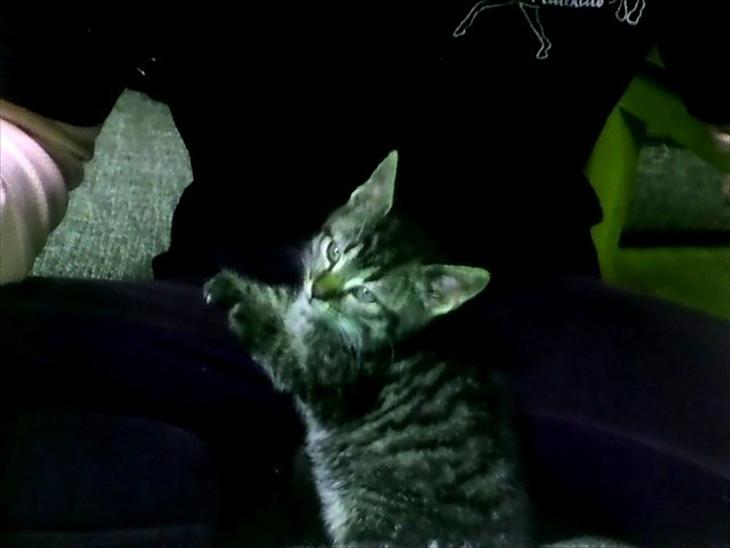 {{currentPhoto.altText}} billede {{currentPhoto.number}}