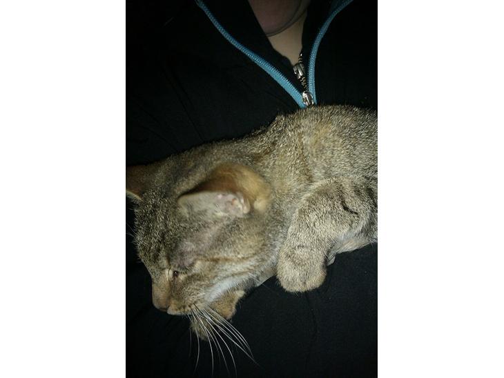 {{currentPhoto.altText}} billede {{currentPhoto.number}}