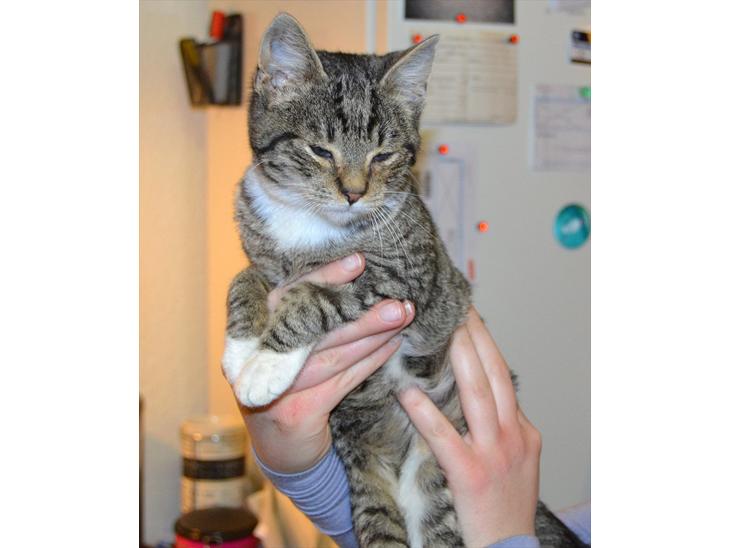 {{currentPhoto.altText}} billede {{currentPhoto.number}}