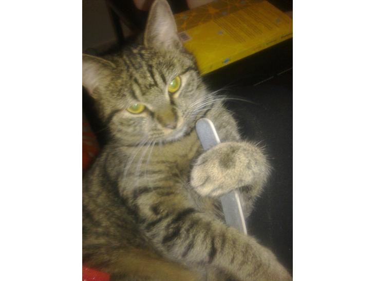 {{currentPhoto.altText}} billede {{currentPhoto.number}}