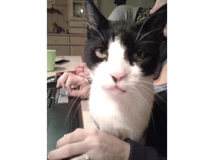 {{currentPhoto.altText}} billede {{currentPhoto.number}}