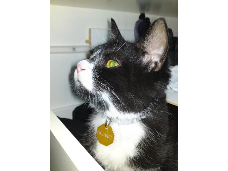 {{currentPhoto.altText}} billede {{currentPhoto.number}}