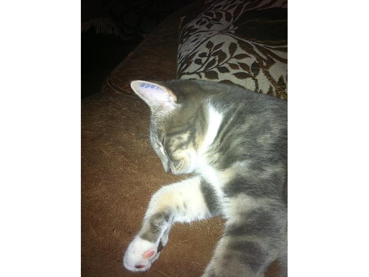 {{currentPhoto.altText}} billede {{currentPhoto.number}}