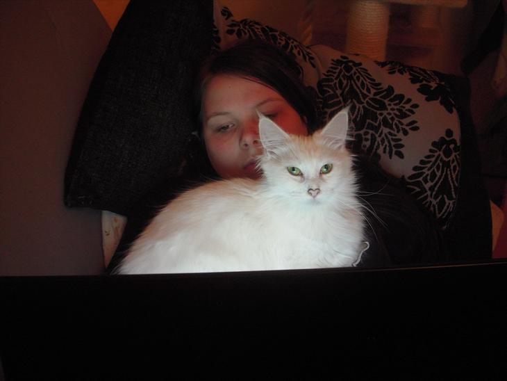 {{currentPhoto.altText}} billede {{currentPhoto.number}}