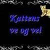 Kattens ve og vel