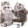 Shoppinggruppen