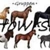 Howrse