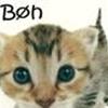 De "Borgerlige" katte