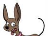 Hunde