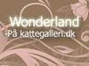 Wonderland