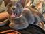 Korat Primprau's Korater