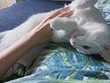 Morgen Hygge...