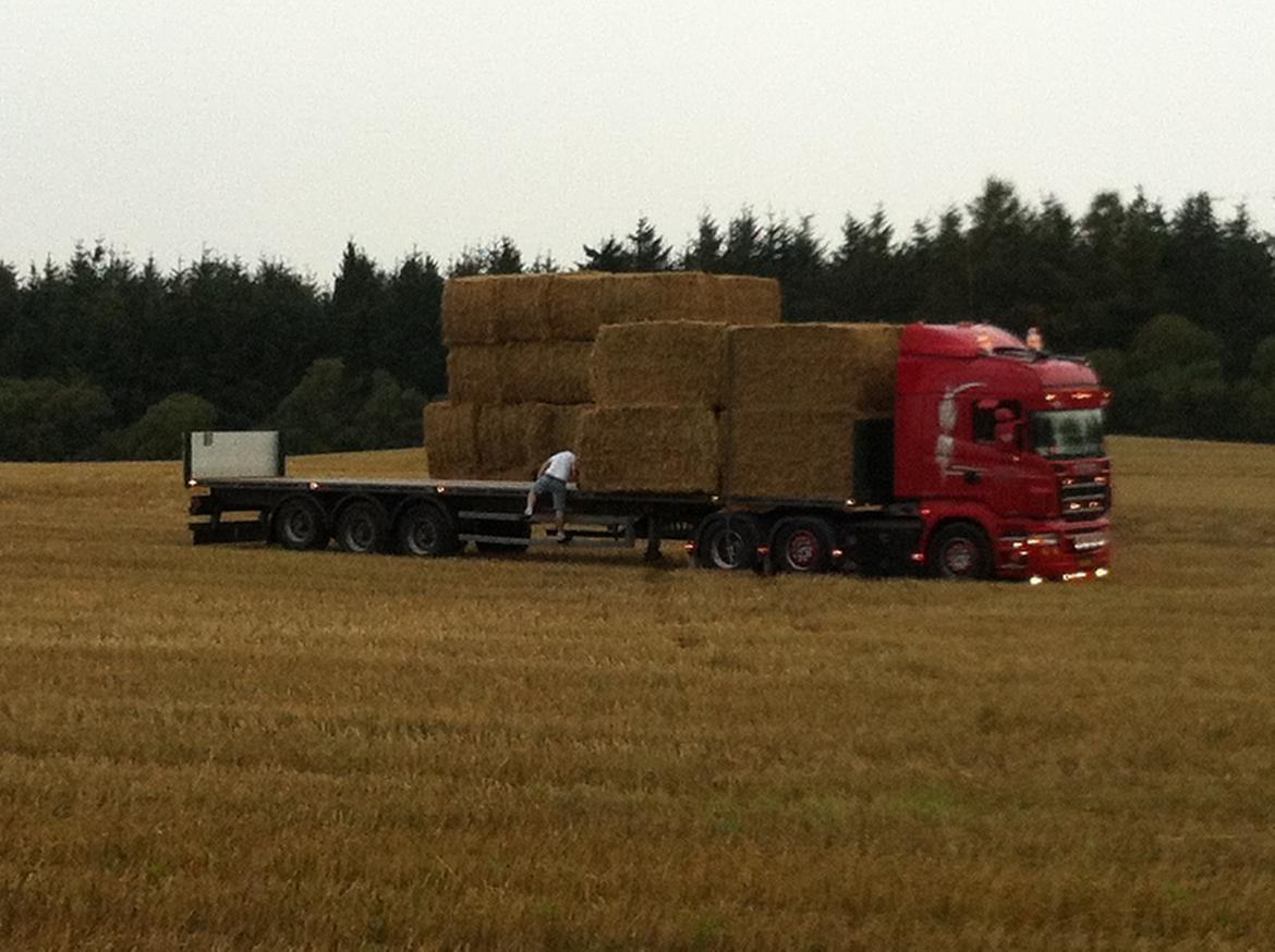 BHO Transport billede 43