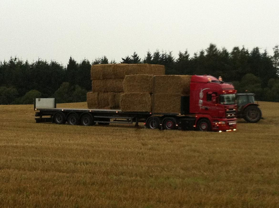 BHO Transport billede 44