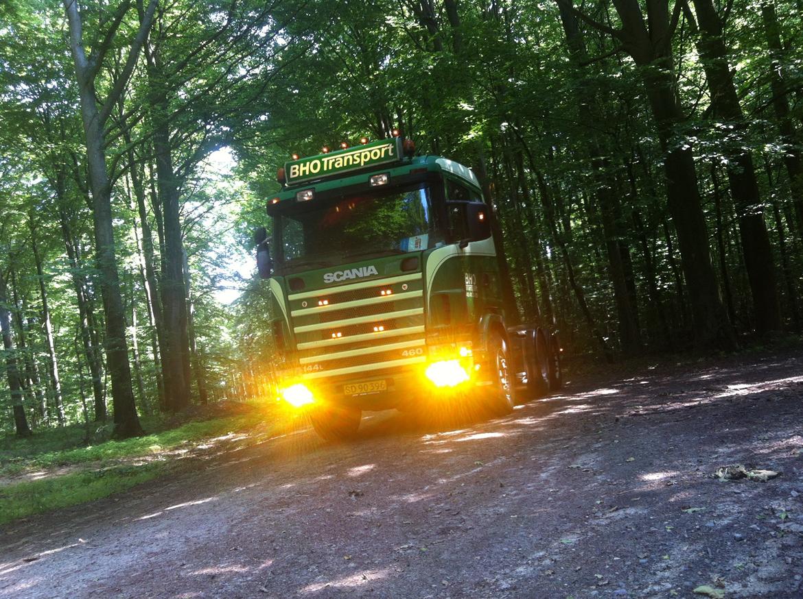 BHO Transport billede 52