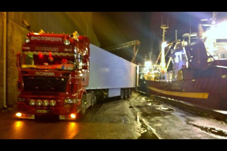 BHO Transport billede 56