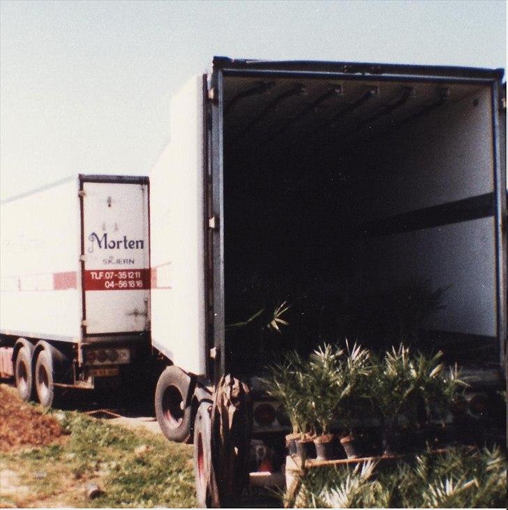 Morten Rahbek (1987-1996) billede 8