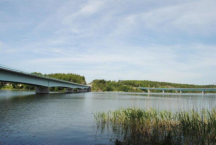 Med Frigo-expressen i Sverige billede 16