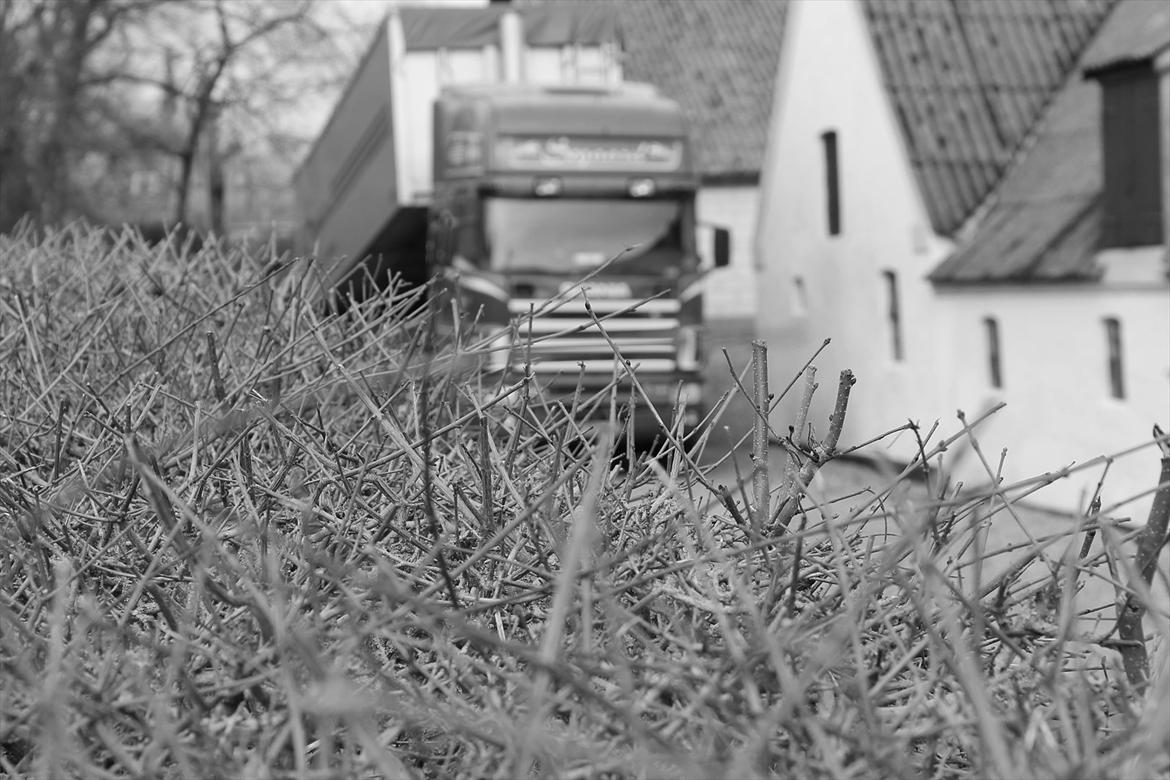 Søgaard Transport, scania 164L 580 billede 10