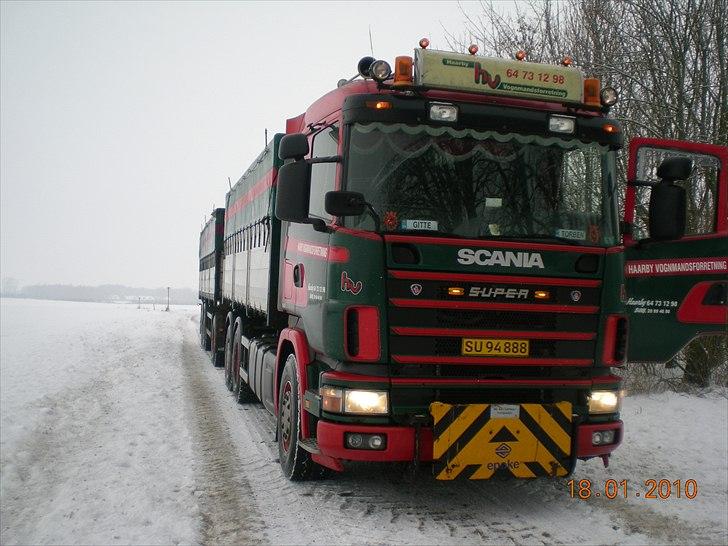 Scania 164L billede 13