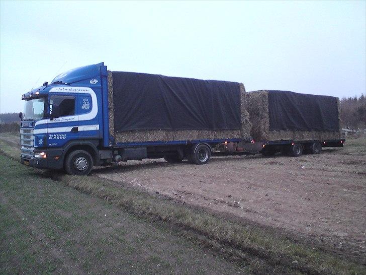 Scania 94 - Med Halm og Net billede 7