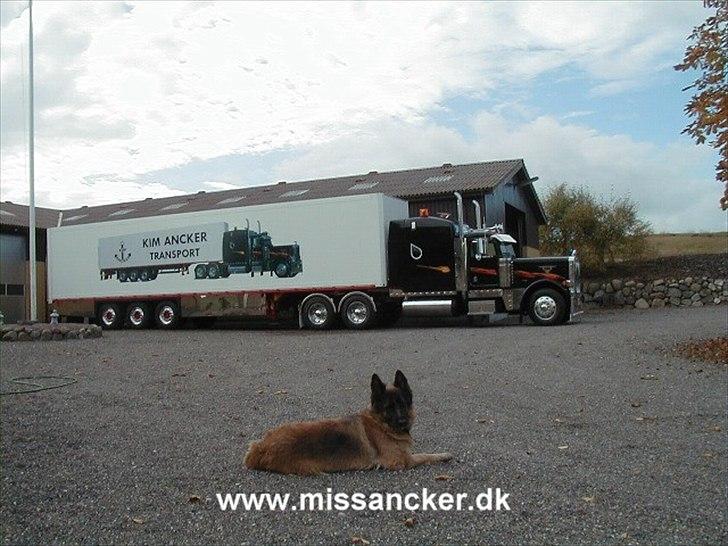 Volvo FH 12    billede 11