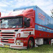 Scania P 310