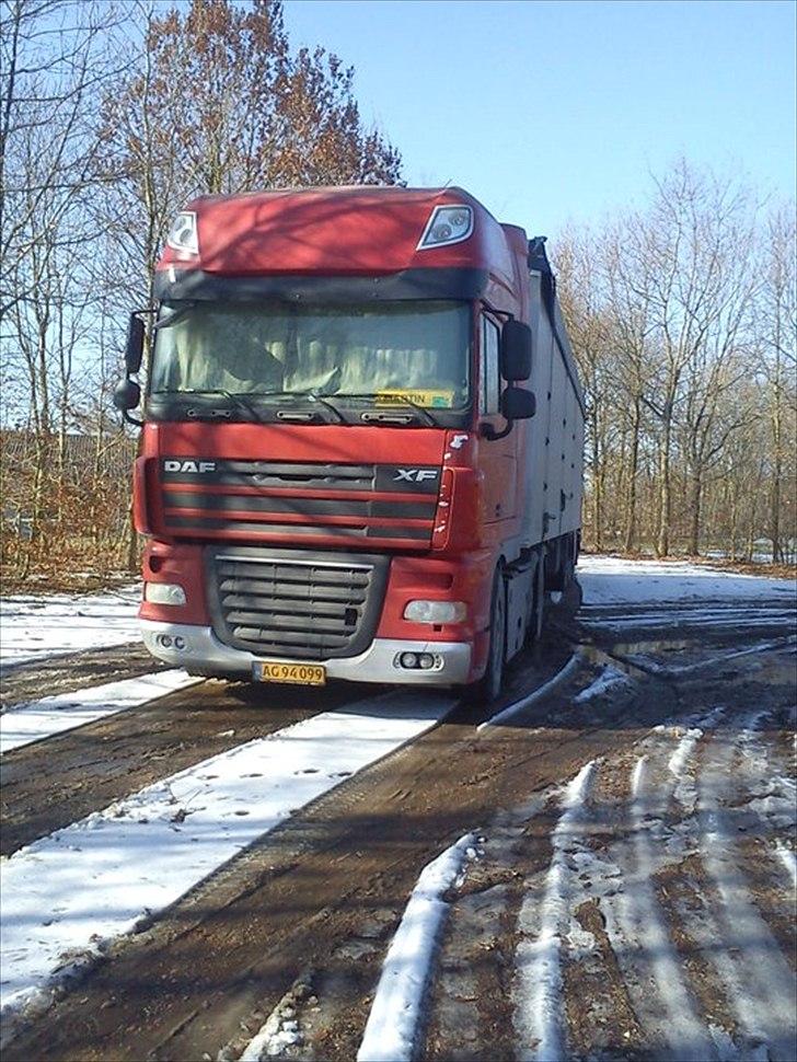 DAF 105 xf billede 3