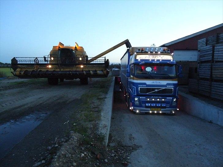 Volvo FH 16 - Hestebønner direkte fra mejetærsker billede 19