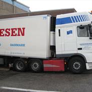 DAF XF95 Super space (tidliger bil)