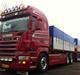 Scania R500