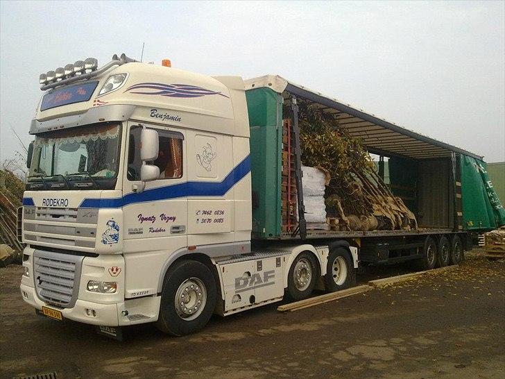 DAF XF105 460 billede 10