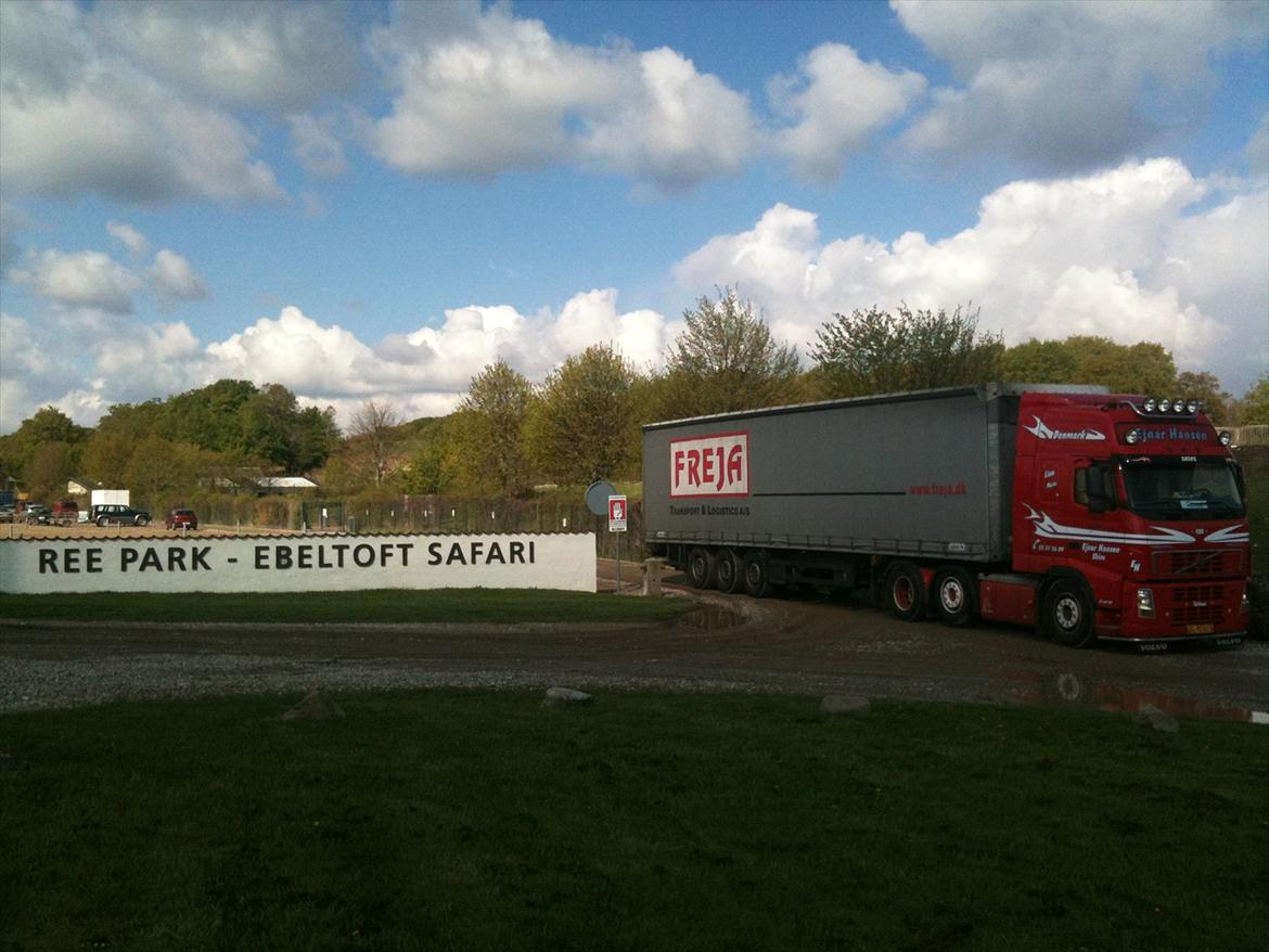 Volvo FH 480 - På safari.. ;) billede 11