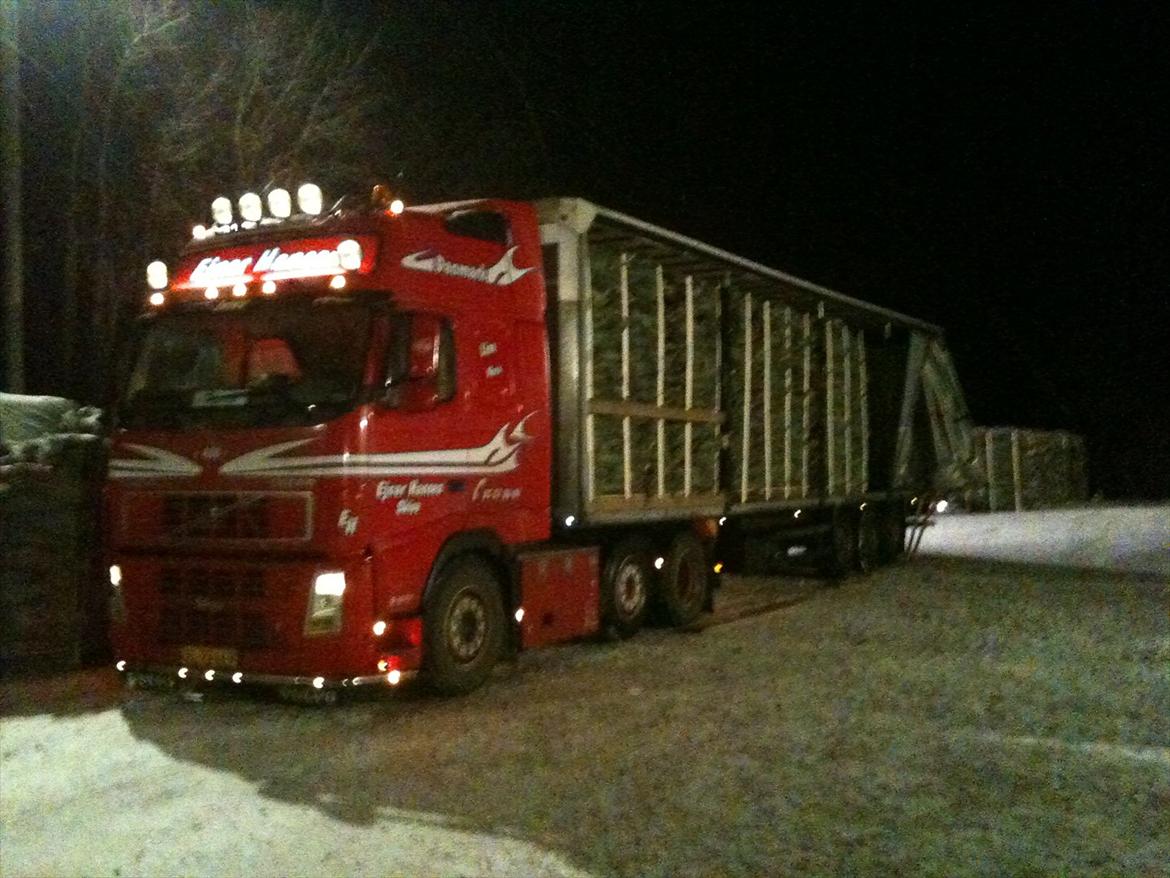 Volvo FH 480 - Læsning af juletræer.. billede 15