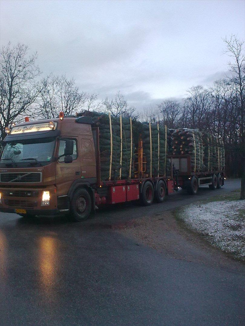 Volvo FM 500 - et lille læs jule træér!! billede 5