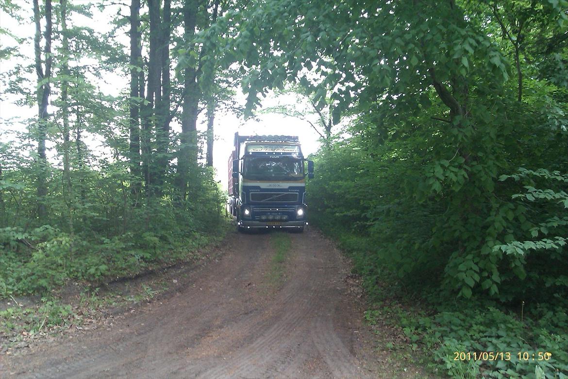 Volvo FH 520 - På skovtur i Himmerland billede 2